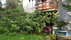 Wichury w powiecie suskim. Liczne interwencje strażaków