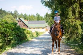Konie, Hobby Horse i gra terenowa. „Aktywne Podbabiogórze” już 27 września w Toporzysku.