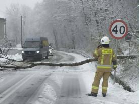 Powalone drzewo zablokowało drogę w Palczy.