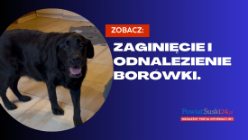 Zaginięcie i odnalezienie &quot;Borówki&quot; - zobacz reportaż (wideo)