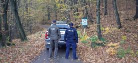 Akcja „Stroisz 2026” w powiecie suskim. Policja i Straż Leśna kontrolują lasy.