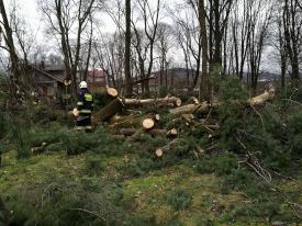 Halny będzie słabnąć, ale dalej może być groźnie