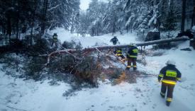 Powalane drzewa zablokowane drogi na skutek opadów śniegu