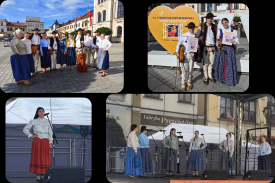 Sukces artystów z powiatu suskiego na prestiżowym festiwalu folkloru w Żywcu.