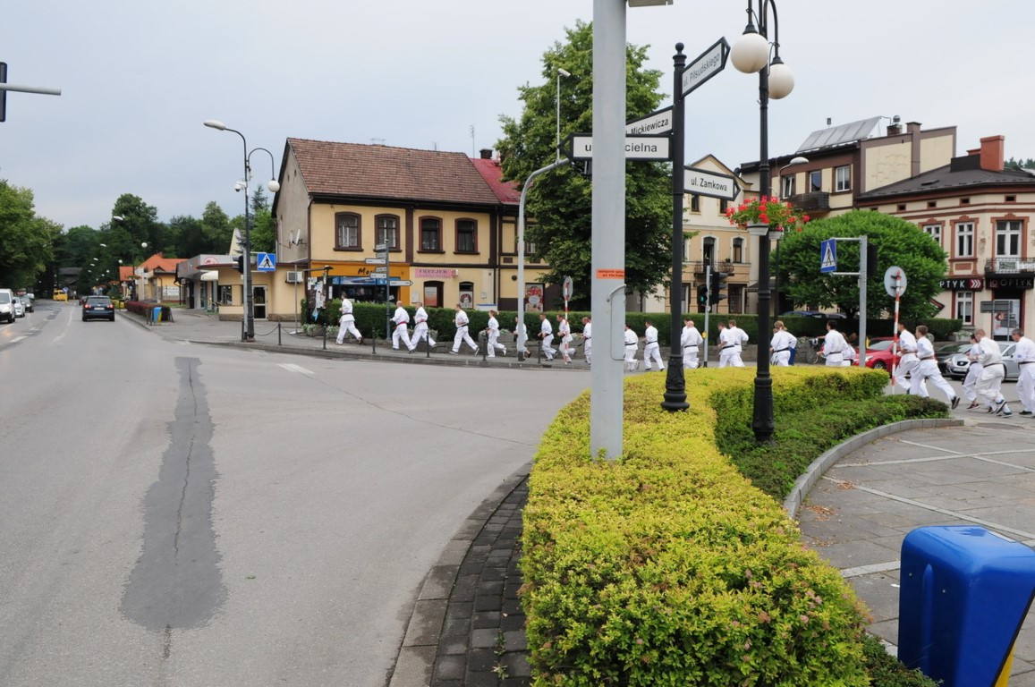 karate1