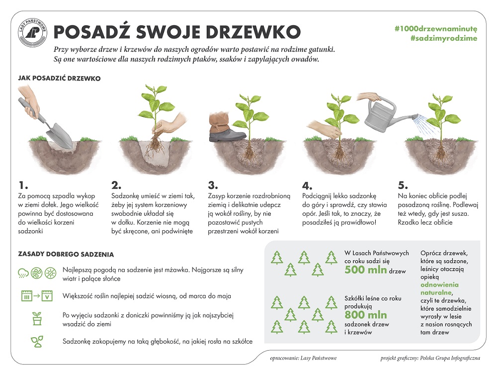 sadzenie_drzewek_01_1
