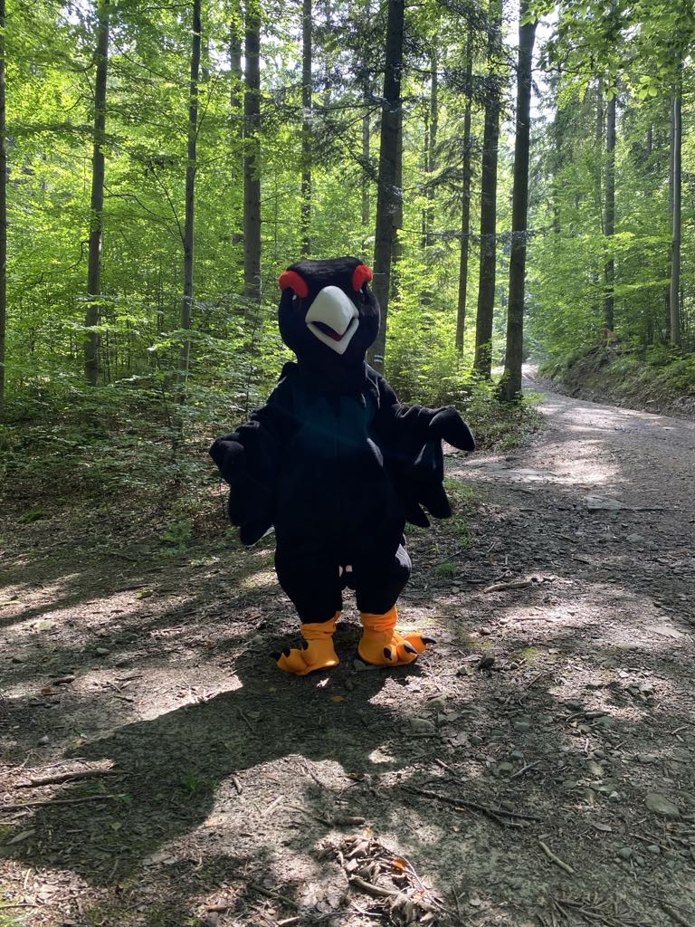 m
