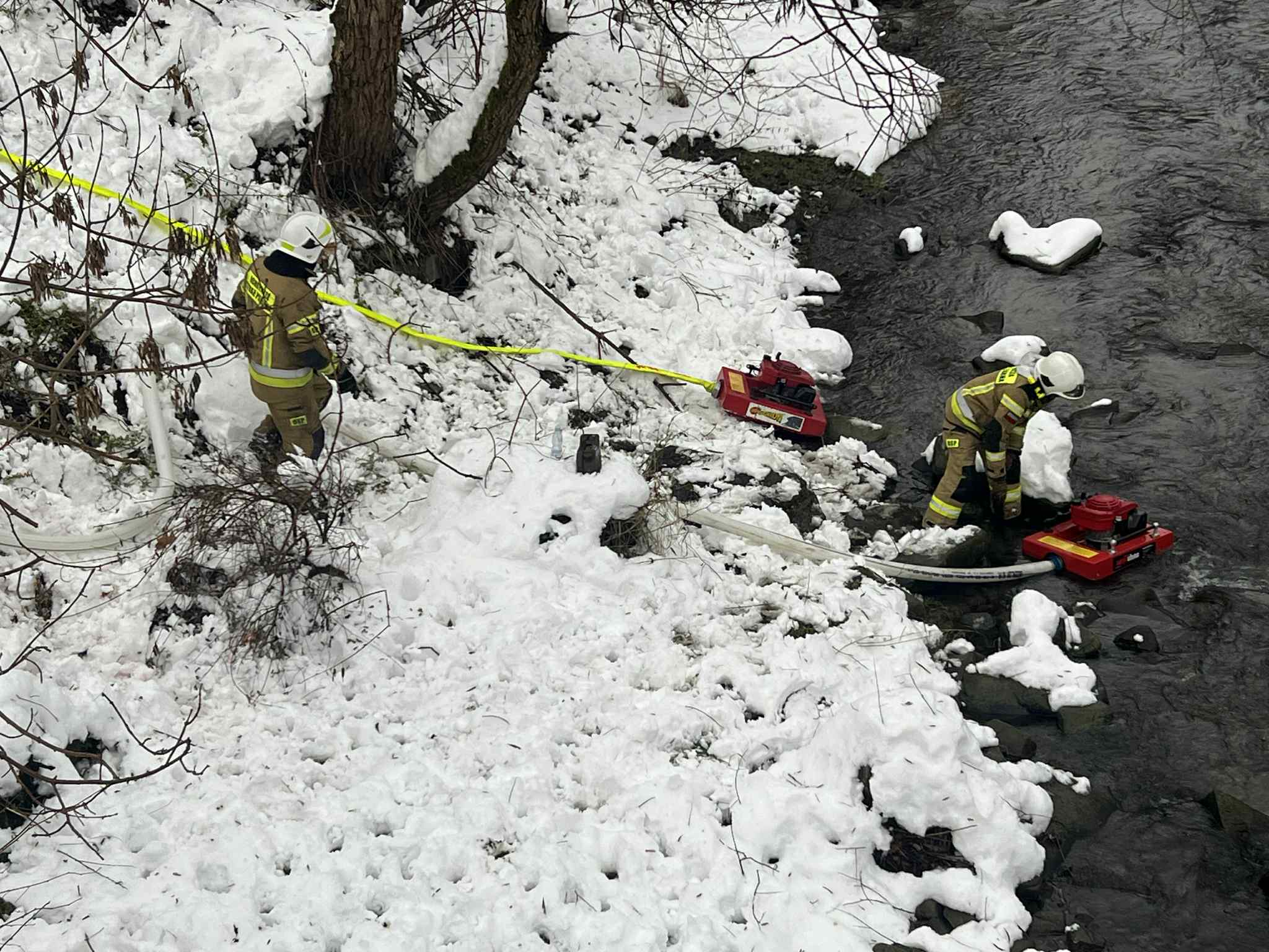 2a8554bc_2e23_4ca7_9ab2_f42499b1751b