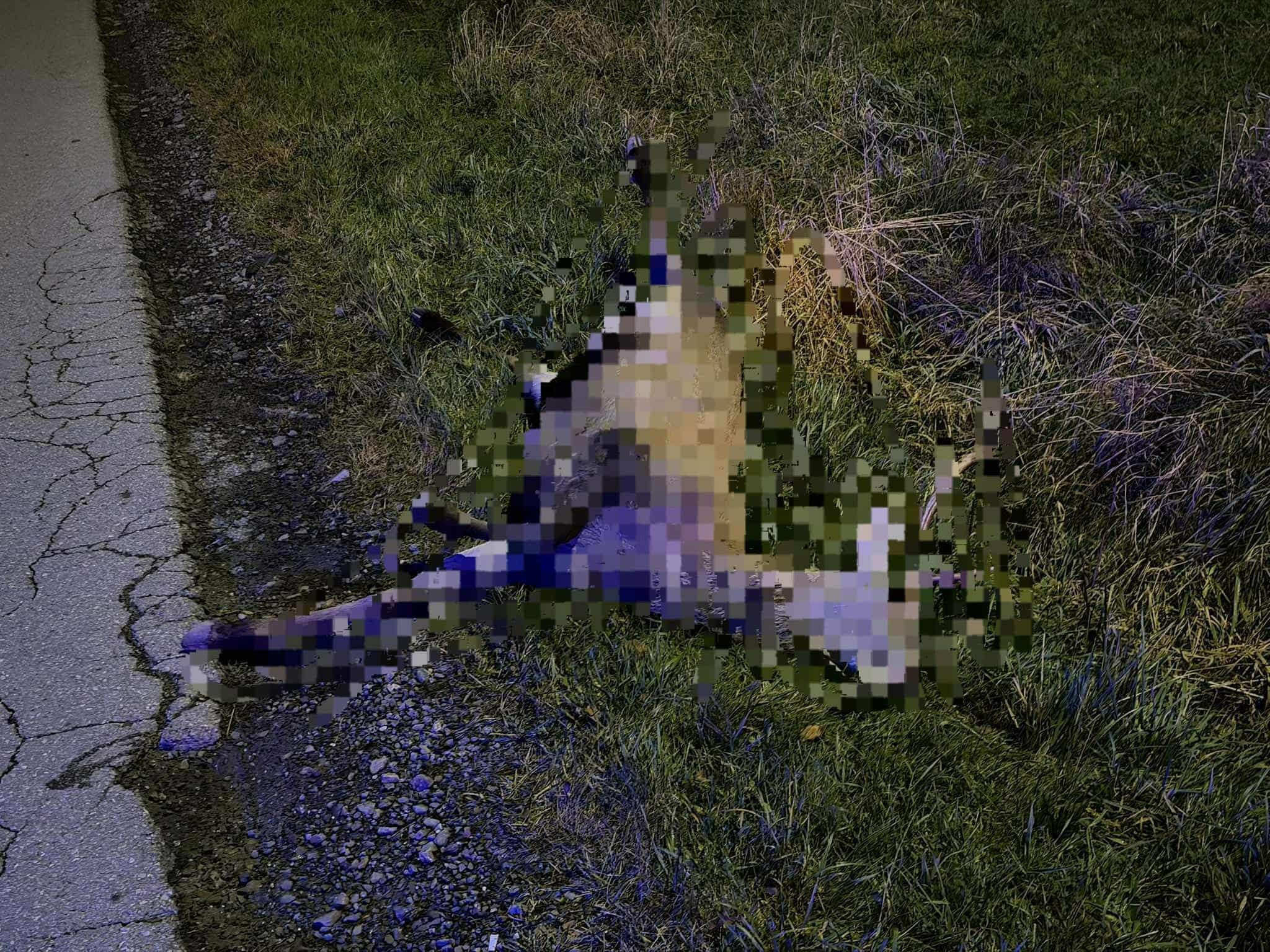 576912714_1170652898491509_5547057825542234978_n