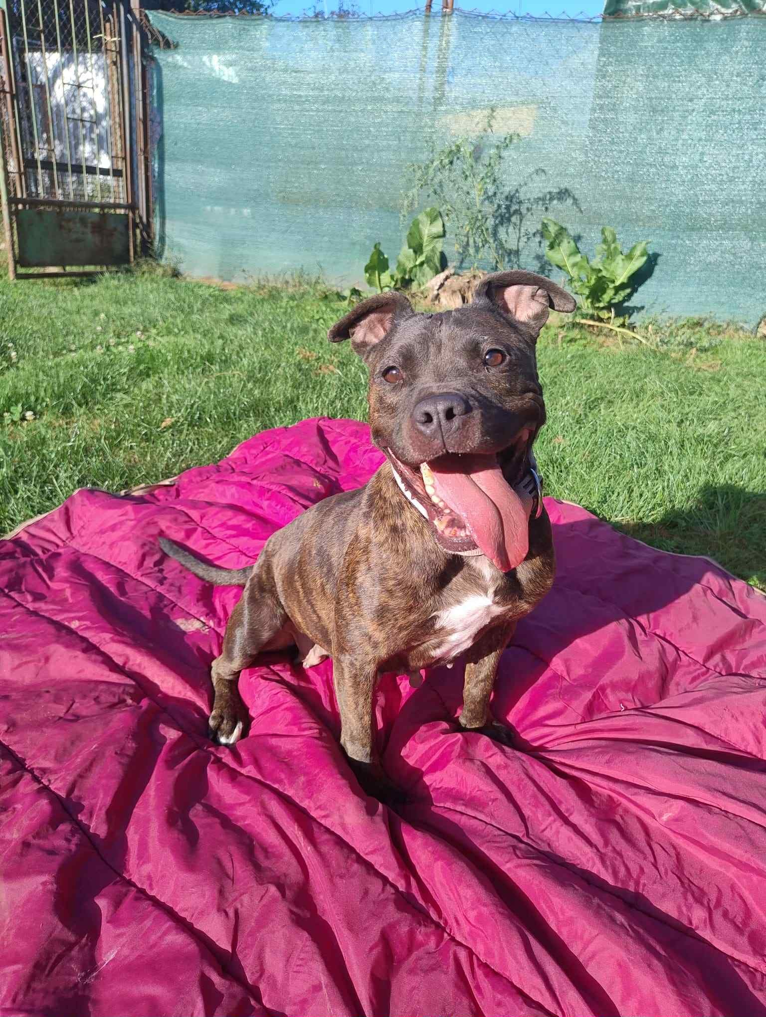 583770771_122232100238123005_7149662695626126995_n