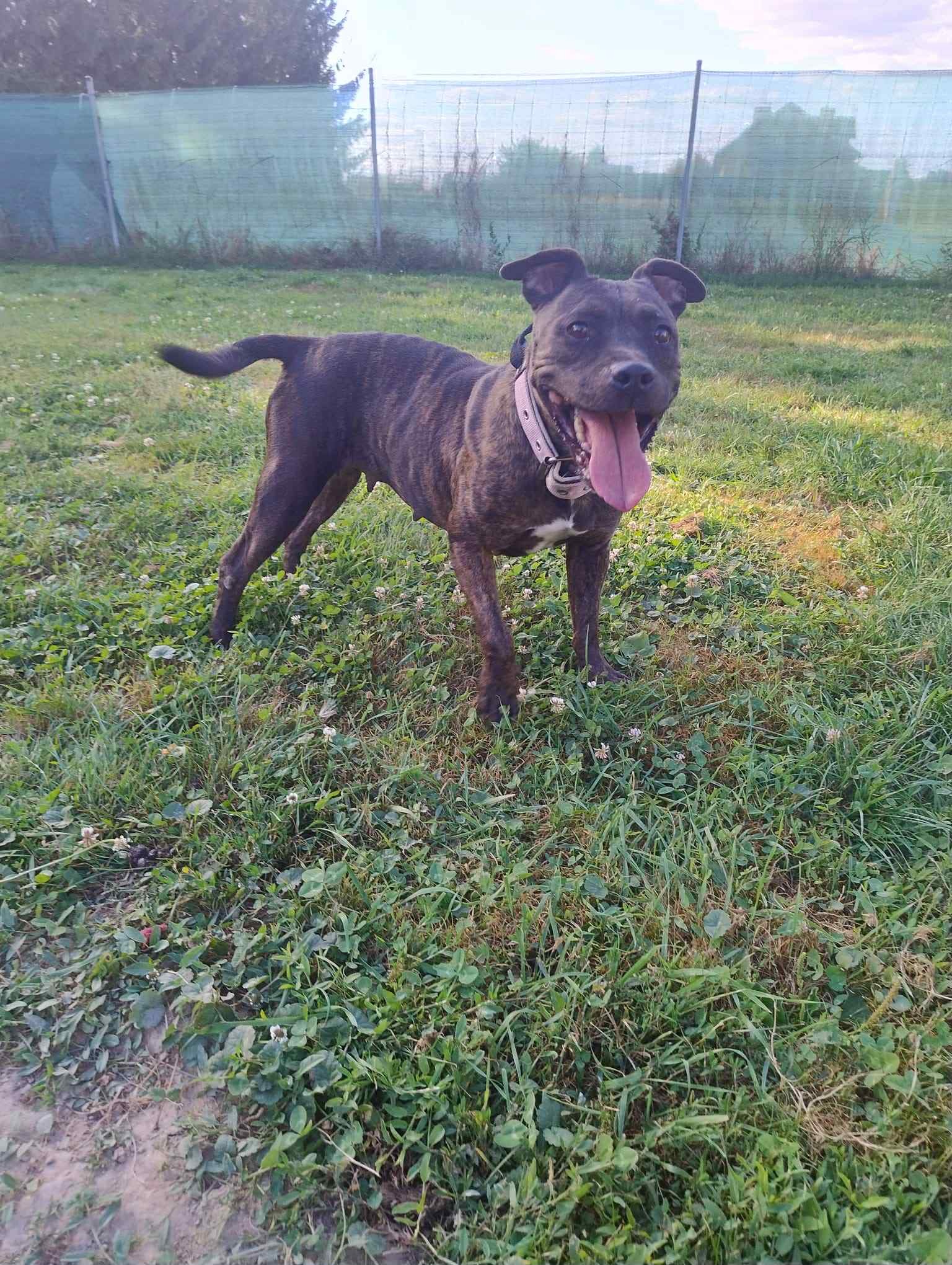 583905688_122232100124123005_8718207717889210477_n