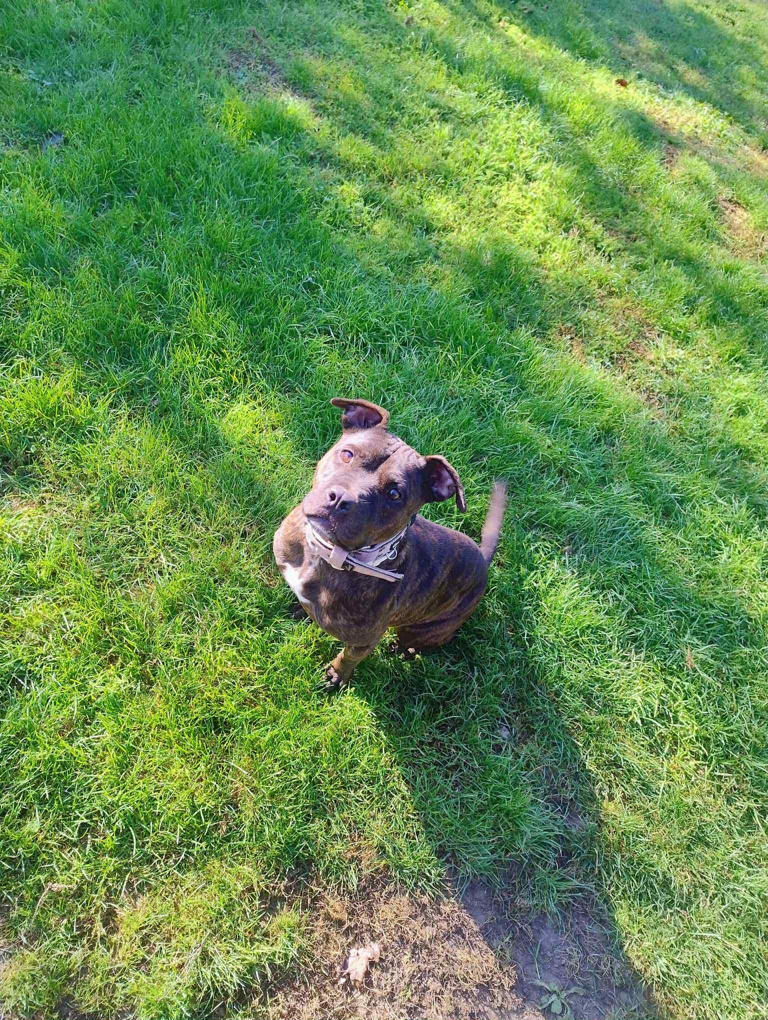 584313491_122232100262123005_8505446050370910026_n