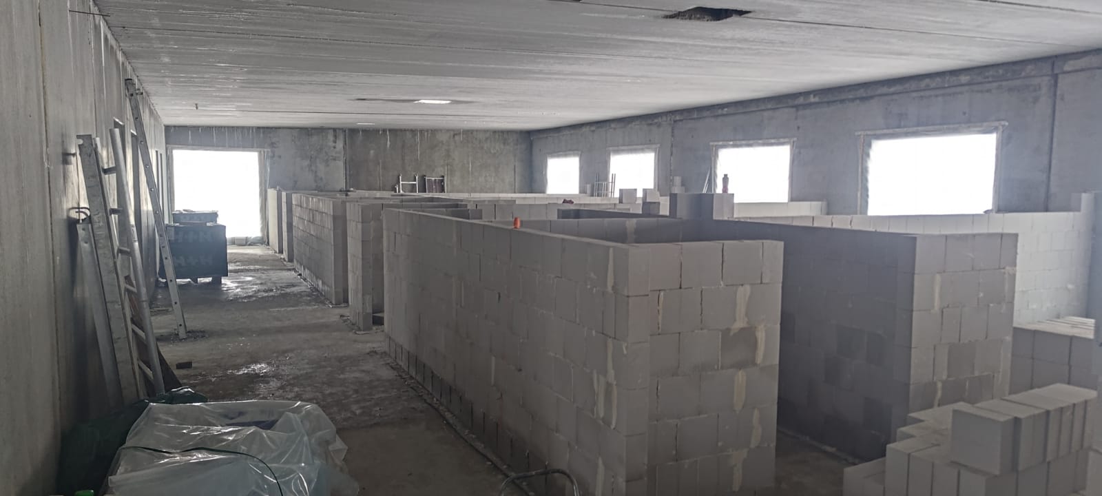 WhatsApp_Image_2026_02_02_at_14.25.15