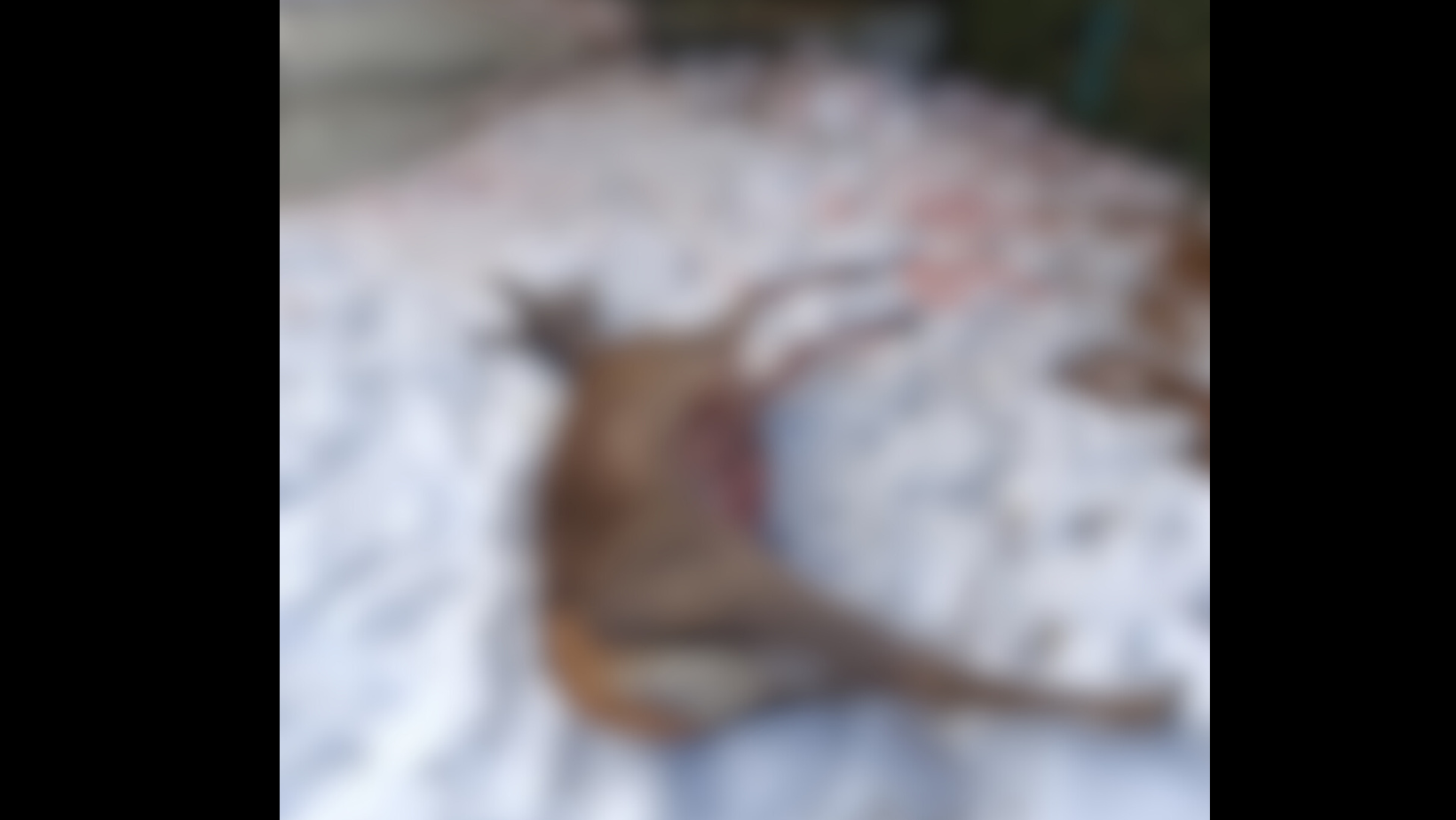 InformacjeOnline24.pl_3_